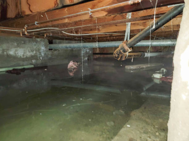 Best Sewage cleanup and water damage restoration  in Bridgeport, WV