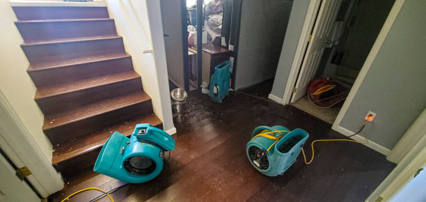 Best Water damage restoration services  in Bridgeport, WV