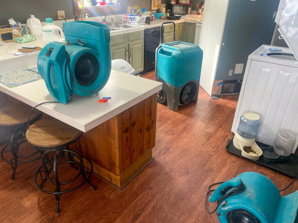  Bridgeport, WV Water damage restoration Pros