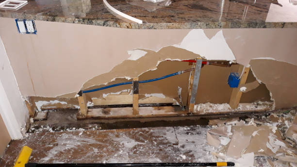 Best Water damage contractors near me  in Bridgeport, WV