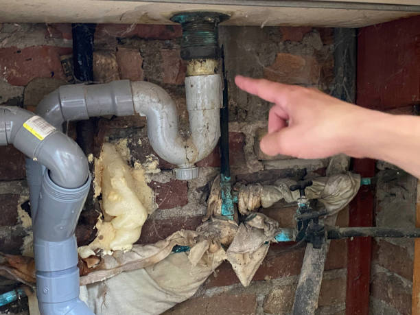 Best Water damage restoration cost  in Bridgeport, WV